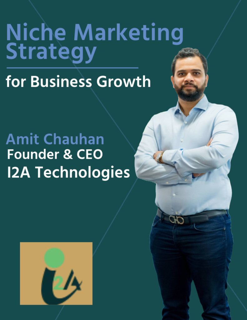 Amit Chauhan’s Niche Marketing Strategy for Business Growth